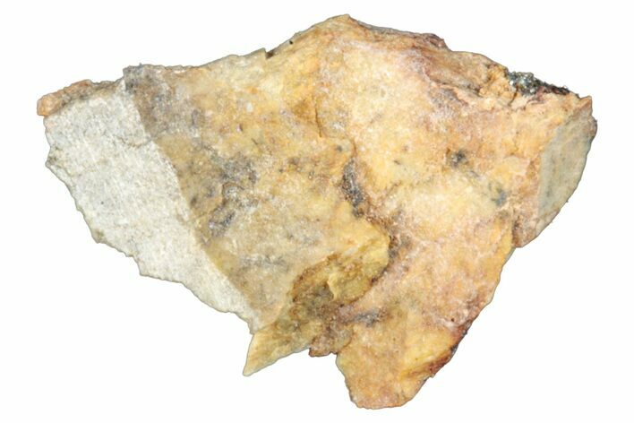 Aubrite Meteorite Fragment - Djoua #283644
